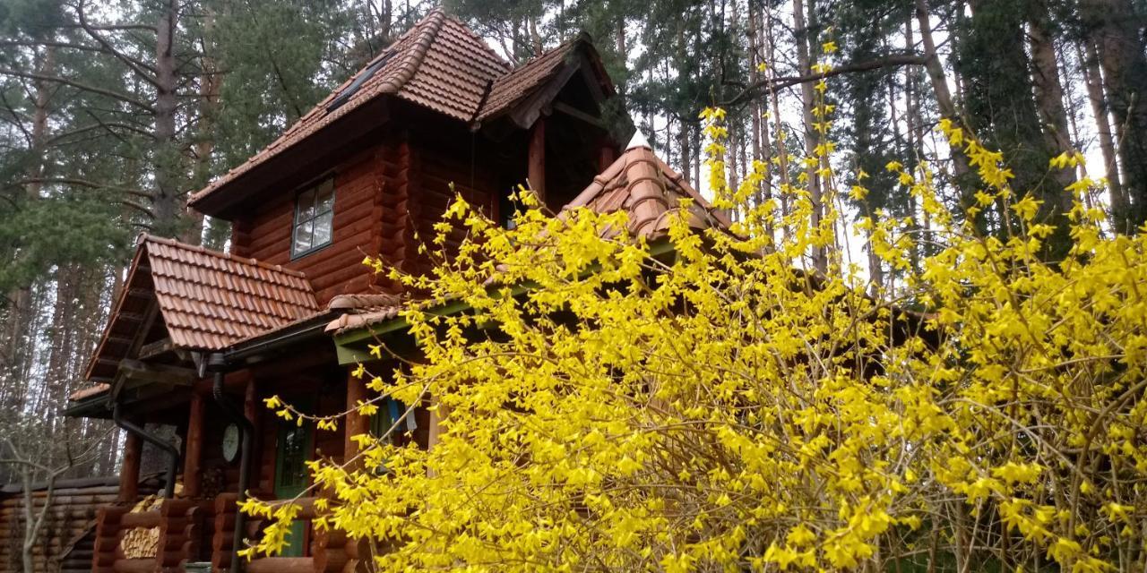 Villa Georgia Aardla Luaran gambar